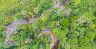 Menyusuri Keheningan Liar di Taman Nasional Bukit Tiga Puluh, Mas Bellboy