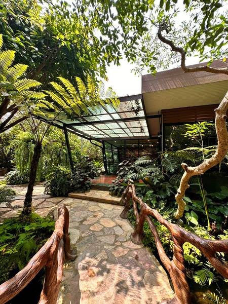 สวนนิลเขียว