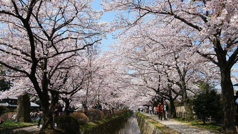 the-philosophers-path-kyoto