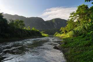 5 Taman Nasional di Kalimantan Tengah yang Wajib Dikunjungi Sekali Seumur Hidup!, Mas Bellboy