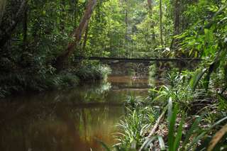 3 Taman Nasional Terbaik di Provinsi Riau untuk Pecinta Alam, Mas Bellboy