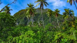 2 Taman Nasional di Provinsi Maluku: Daftar Lengkap dan Pesona Alamnya, Mas Bellboy