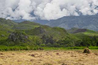 3 Taman Nasional di Papua yang Wajib Anda Kunjungi bagi Pecinta Alam, Mas Bellboy