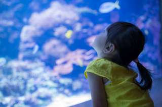 3 Wisata Aquarium Malang Terbaru: Harga Tiket, Lokasi, dan Daya Tariknya, Mas Bellboy