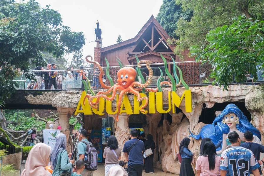 Rekomendasi Wisata Aquarium Malang yang Populer