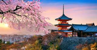 Negara Asia Timur: Daftar Lengkap, Fakta, dan Panduan Liburan, Travel Bestie