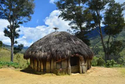 Snapshot Budaya: Rumah Adat Papua Nugini dalam Sekilas, Mas Bellboy