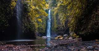 Curug Juneng, Air Terjun Tersembunyi di Lereng Gunung Slamet, Banyumas, Xperience Team