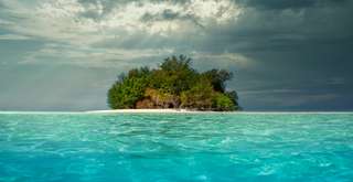 Misteri Ikan Joko Tuo, Legenda Penjaga Laut di Kepulauan Karimunjawa, Xperience Team