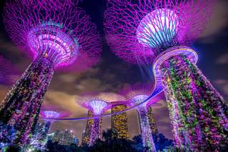 Tempat Wisata di Singapura: Panduan Lengkap Hiburan Malam Terbaik, Traveloka Xperience