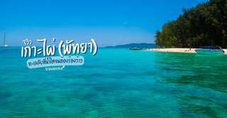 [รีวิว] เที่ยวเกาะไผ่ พัทยา พร้อมจุดไฮไลท์และกิจกรรมแนะนำ, Traveloka TH