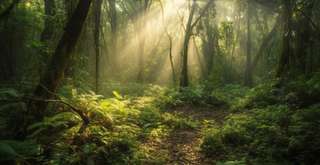 10 Fakta Unik Alas Purwo yang Jarang Diketahui, Xperience Team