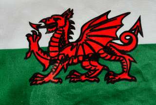 Mengenal Naga Merah: Sang Penjaga Legendaris dari Wales, Mas Bellboy