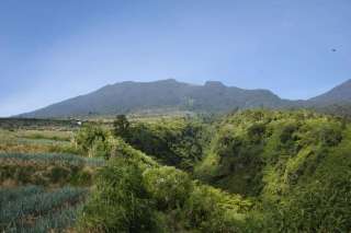 5 Taman Nasional di Jawa Barat yang Wajib Dikunjungi untuk Petualangan Alam, Mas Bellboy