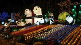 7 Wisata Malam Dieng yang Seru untuk Liburan Tak Terlupakan, Mas Bellboy