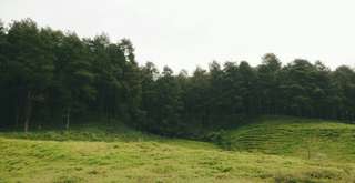 Bukit Tengtung, Panorama Pegunungan dan Area Camping Seru, Xperience Team