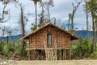 Rumah Kaki Seribu: Menyingkap Kecerdasan Arsitektur Vertikal Suku Arfak di Pegunungan Papua, Mas Bellboy
