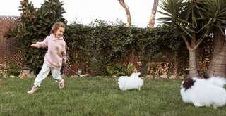 Taman Kelinci Salatiga, Destinasi Wisata Keluarga yang Lucu dan Edukatif, Xperience Team