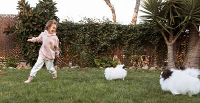 Taman Kelinci Salatiga, Destinasi Wisata Keluarga yang Lucu dan Edukatif, Xperience Team