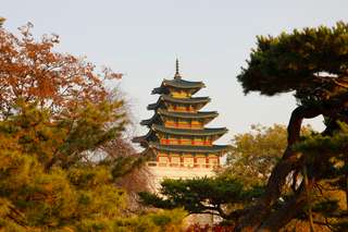 Korea Fall Foliage 2026: The Ultimate Autumn Leaves Travel Guide, Traveloka Xperience