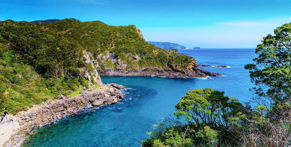Nhờ vị trí không quá xa Tokyo cùng hệ thống tàu điện thuận tiện, Kawazu trở thành điểm đến hoàn hảo cho những chuyến du lịch ngắn ngày