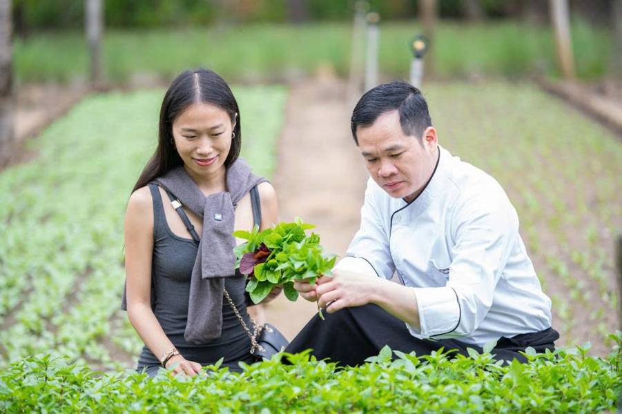 Nông trại bên trong khuôn viên resort mang tới nguồn rau xanh và sạch