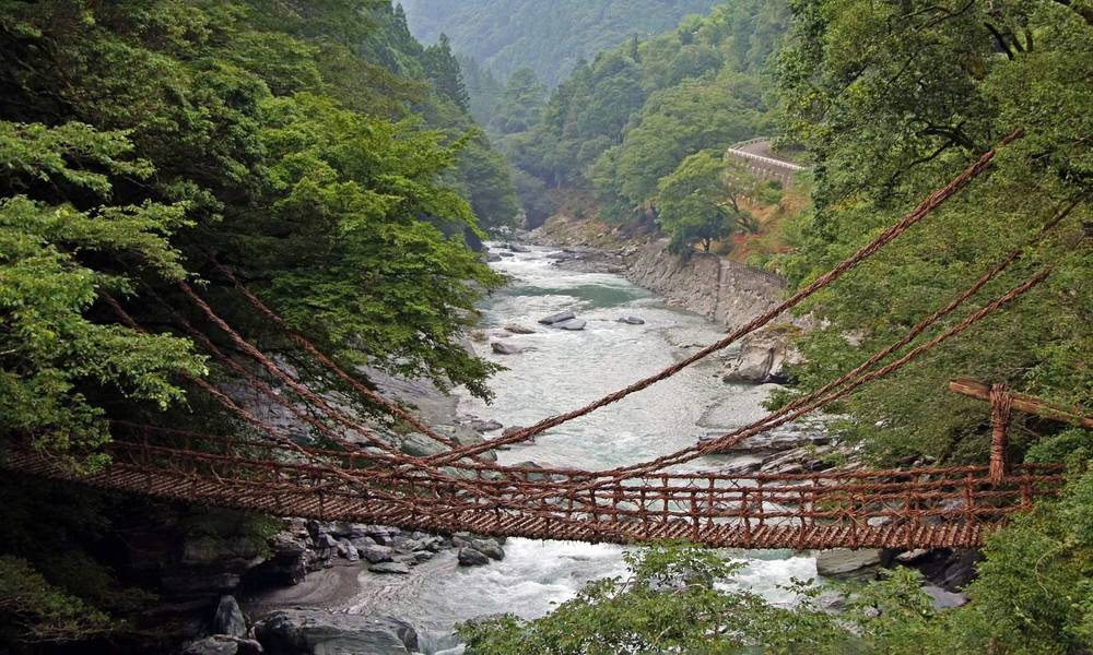 Cầu dây leo Iya Valley huyền thoại treo giữa núi rừng mang đến cảm giác mạnh độc nhất Nhật Bản