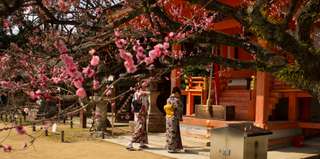 Kitano Tenmangu Shrine: Nơi người Nhật gửi gắm ước mơ, Traveloka VN