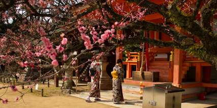 Kitano Tenmangu Shrine: Nơi người Nhật gửi gắm ước mơ, Traveloka VN