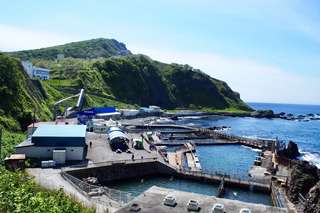 Otaru Aquarium: Thủy cung sống động sát bên biển Nhật Bản, Traveloka VN