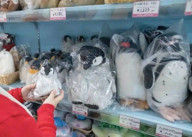 Những món quà lưu niệm đáng yêu lấy cảm hứng từ sinh vật biển tại Otaru Aquarium 