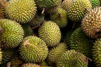 5 Buah Khas Lombok yang Unik dan Jarang Diketahui Wisatawan, Mas Bellboy