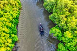 Menjelajahi 3 Wisata Mangrove Surabaya yang Menjadi Oase Hijau Tersembunyi, Waktu baca 2 menit