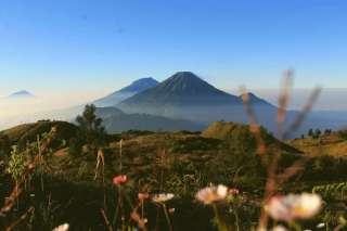 Gunung Kembang: Panduan Mendaki 'Anak Sindoro' dengan Jalur Menantang, Waktu baca 2 menit