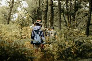 Gunung Beser: Menikmati Keasrian Puncak Pinus di Karangjambu Purbalingga, Waktu baca 2 menit