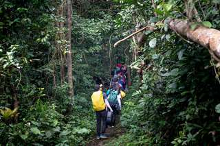 Gunung Pesagi: Menaklukkan Atap Tertinggi di Tanah Lampung, Waktu baca 2 menit