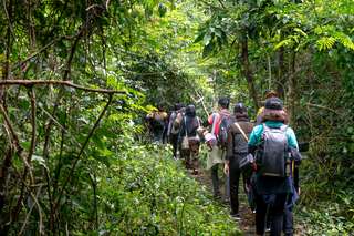 Gunung Tanggamus: Menjelajahi Hutan Lumut dan Pesona Teluk Semangka di Lampung, Waktu baca 2 menit