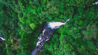 Air Terjun Cipamingkis Bogor: Daya Tarik, Rute, Tiket, dan Tips Berkunjung, 4 min read
