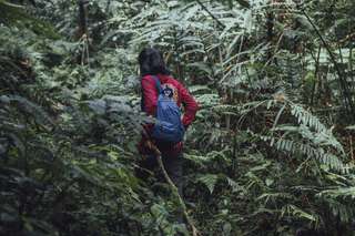 Gunung Parung: Menilik Kemegahan Puncak Tertinggi di Kawasan Ibu Kota Nusantara, Mas Bellboy