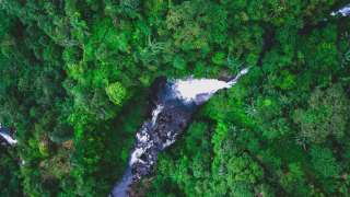 Curug Jonggol: Menjelajahi Pesona Air Terjun Eksotis di Timur Bogor, Mas Bellboy