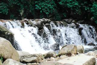 Curug Mekar: Menjelajahi Pesona Air Terjun "Pinggir Jalan" yang Asri di Jantung Kota Bogor, Waktu baca 2 menit