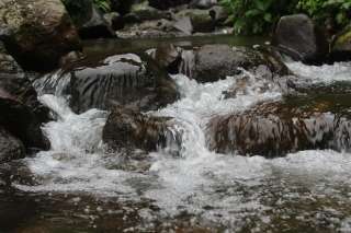 Curug Cibiru: Pesona Air Terjun Kolam Biru yang Eksotis di Ciater Subang, Waktu baca 2 menit