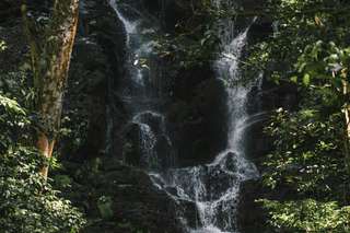 Air Terjun Teroh Teroh, Destinasi Petualangan Eksotis Sebening Kaca di Tengah Hutan Langkat, Waktu baca 5 menit