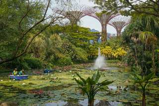 Singapore Botanic Gardens: The Complete Visitor Guide, Traveloka Team