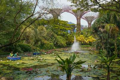 Singapore Botanic Gardens: Panduan Lengkap untuk Wisatawan Indonesia, Traveloka Team