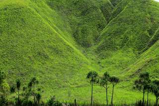Bukit Larata: Menikmati Hamparan Bukit Teletubbies dan Pemandangan Laut Lepas Sulawesi Utara, Waktu baca 4 menit