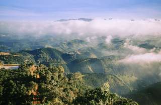 Pesona Bukit Wangkang, Destinasi Wisata Alami Kalimantan Barat, Waktu baca 4 menit