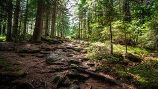 Wisata Gunung Hallasan: Menjelajahi Mahkota Vulkanik dan Puncak Tertinggi di Korea Selatan, Waktu baca 4 menit