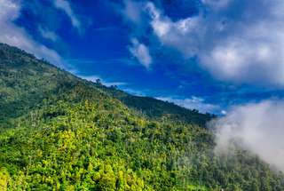 Bukit Pentulu Indah: Daya Tarik, Lokasi, dan Info Penting Lainnya, Waktu baca 4 menit