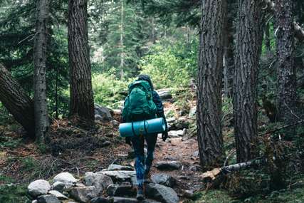 Wisata Gunung Wycheproof: Menjelajahi Gunung Terkecil di Dunia yang Berpenghuni, Mas Bellboy